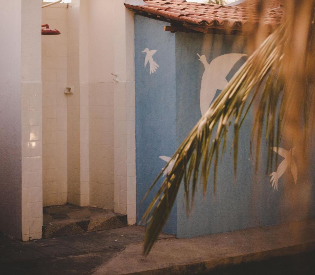 4 Quartos Ao Lado Da Praia Do Patacho Pôrto de Pedras Exterior foto